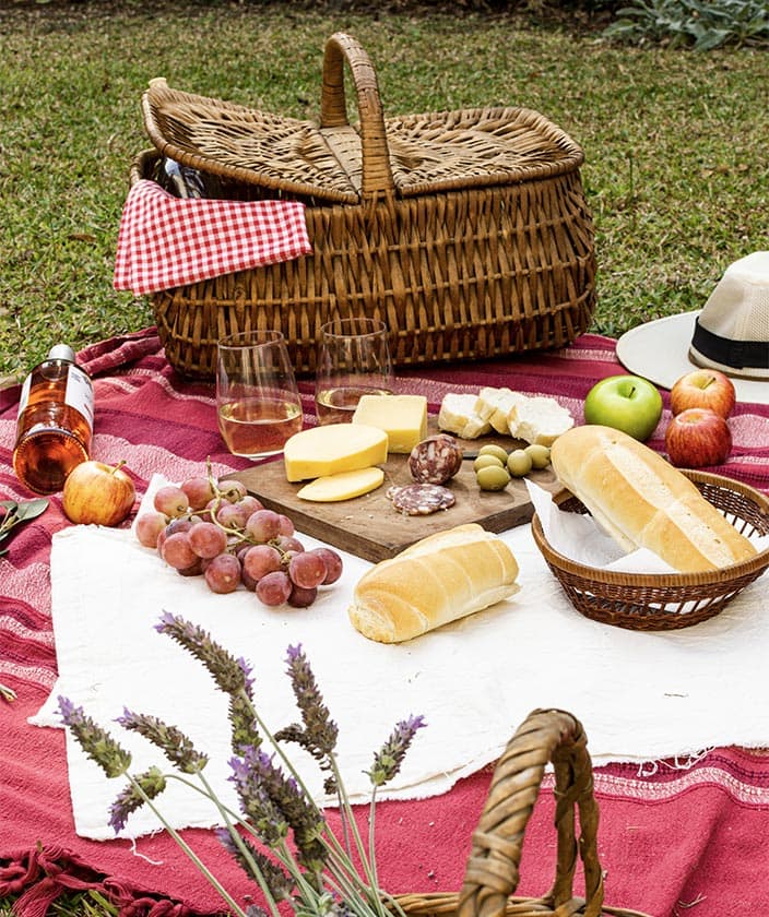 Fest Piknik